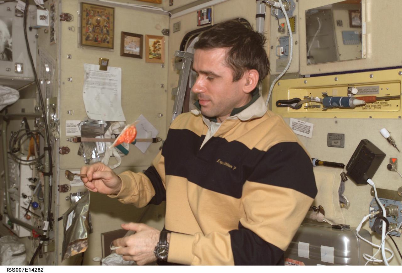 ISS007-E-14282 (1 September 2003) --- Cosmonaut Yuri I. Malenchenko, Expedition 7 mission commander, is pictured holding a spoon while a package of food floats nearby in the Zvezda Service Module on the International Space Station (ISS). Malenchenko represents Rosaviakosmos.