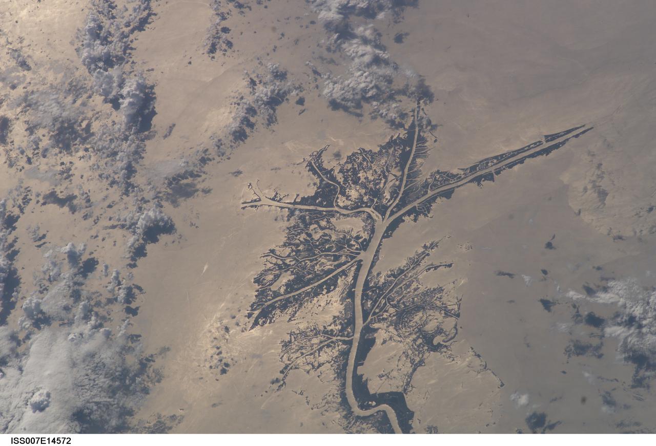 ISS007-E-14572 (8 September 2003) --- This view of the Mississippi River Delta on the Gulf of Mexico was taken by an Expedition 7 crewmember onboard the International Space Station (ISS). This delta area is often referred to as the "crow's foot."