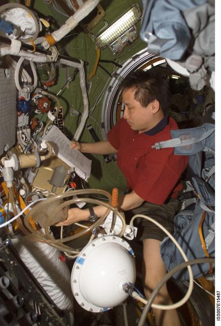 NASA image: Lu during checkout of Orlan spacesuits