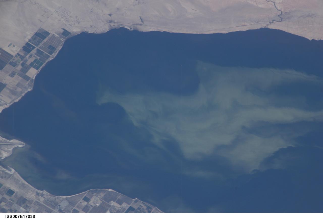 ISS007-E-17038 (11 October 2003) --- This view featuring a close-up of the Salton Sea was taken by an Expedition 7 crewmember onboard the International Space Station (ISS). The image provides detail of the structure of the algal bloom. These blooms continue to be a problem for the Salton Sea. They are caused by high concentrations of nutrients, especially nitrogen and phosphorous, which drain into the basin from the agricultural run-off. As the algae die and decompose, oxygen levels in the sea drop, causing fish kills and hazardous condition for other wildlife.