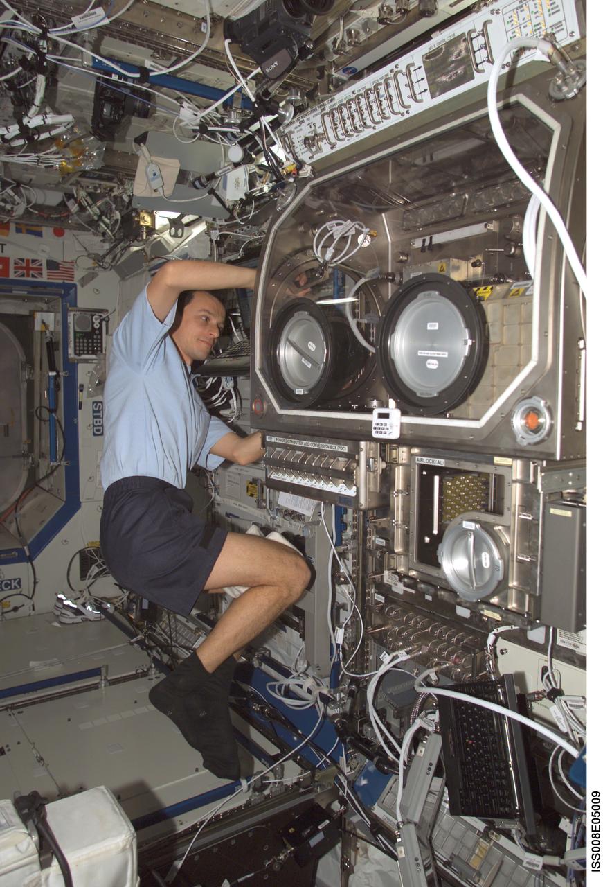 ISS008-E-05009 (27 October 2003) --- European Space Agency (ESA) astronaut Pedro Duque of Spain works with the Microgravity Science Glovebox (MSG) in the Destiny laboratory on the International Space Station (ISS).