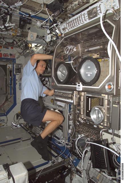 NASA image: Duque works at the MSG for PromISS 2  in the Lab during Expedition Seven / 8 OPS