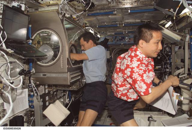 NASA image: Duque works at the MSG for PromISS 2  in the Lab during Expedition Seven / 8 OPS