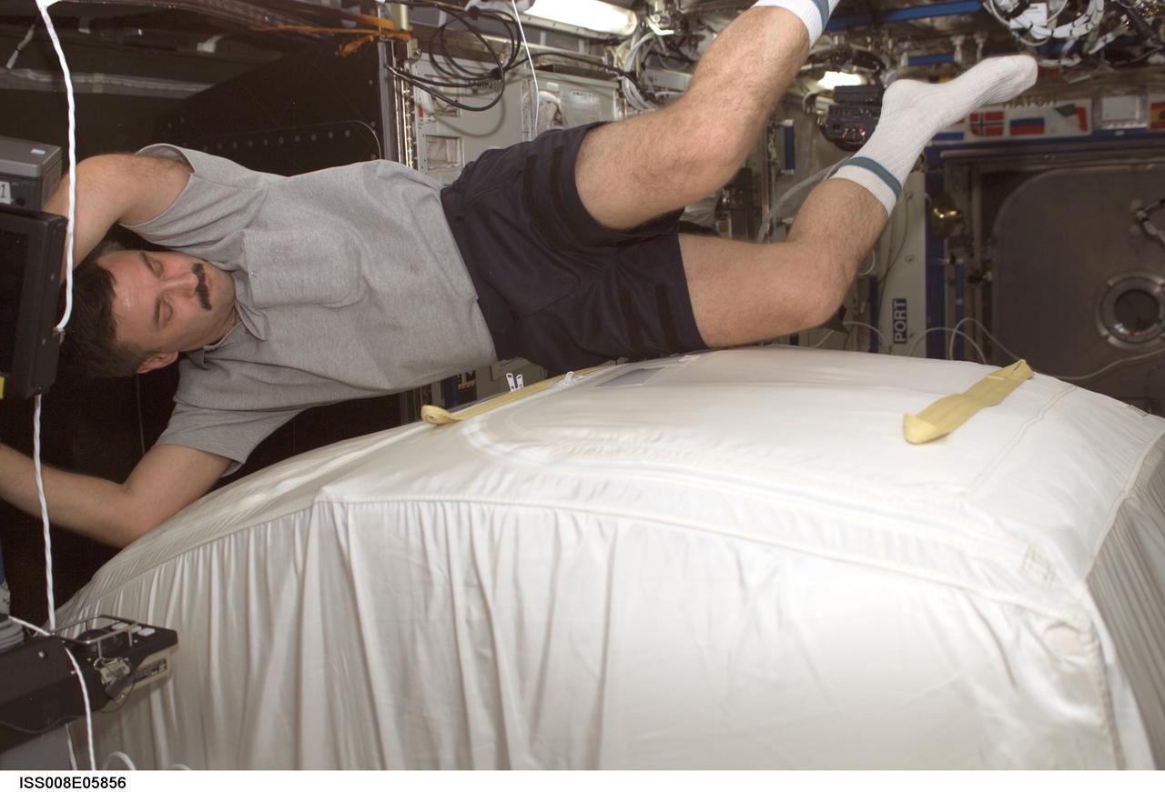 ISS008-E-05856 (12 November 2003) --- Cosmonaut Alexander Y. Kaleri, Expedition 8 flight engineer, moves a Zero-G Storage Rack (ZSR) in the Destiny laboratory on the International Space Station (ISS). Kaleri, who represents Rosaviakosmos, commanded the Soyuz flight that took the crew to the station last month.