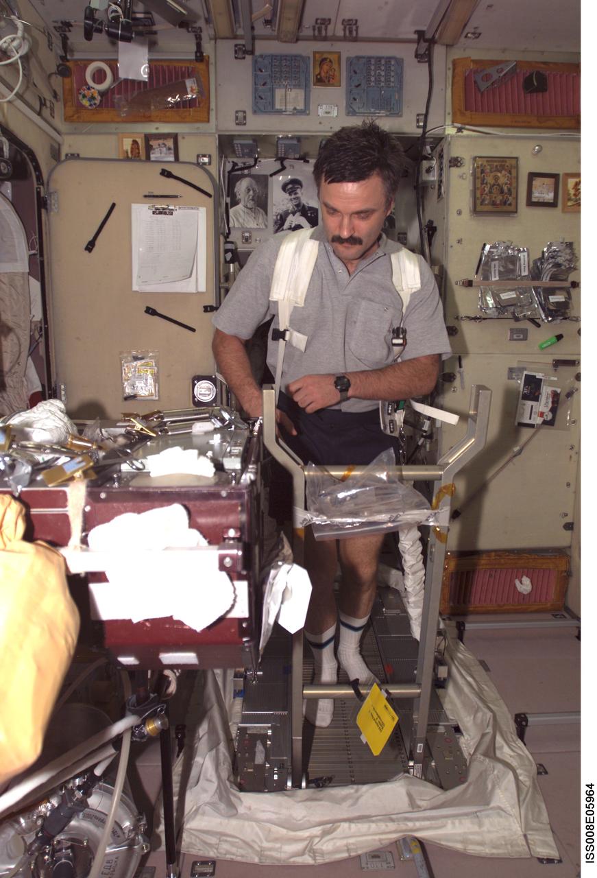 ISS008-E-05964 (23 November 2003) --- Cosmonaut Alexander Y. Kaleri, Expedition 8 flight engineer, performs in-flight maintenance (IFM) on the Treadmill Vibration Isolation System (TVIS) in the Zvezda Service Module on the International Space Station (ISS). Kaleri represents Rosaviakosmos.