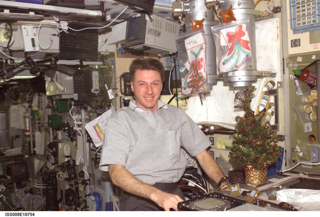 NASA image: Foale poses with Christmas tree and stockings in the SM galley during Expedition 8