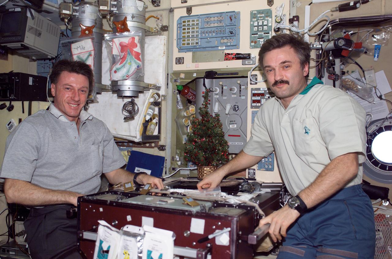 ISS008-E-10768 (28 December 2003) --- Astronaut C. Michael Foale (left), Expedition 8 mission commander and NASA ISS science officer, and cosmonaut Alexander Y. Kaleri, flight engineer, pose with holiday decorations in the Zvezda Service Module on the International Space Station (ISS). Kaleri represents Rosaviakosmos.