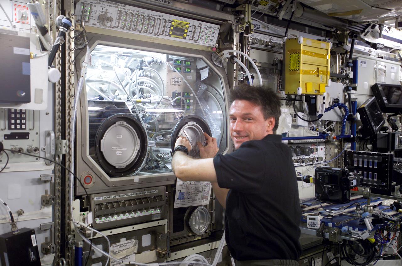ISS008-E-20622 (5 April 2004) --- Astronaut C. Michael Foale, Expedition 8 commander and NASA ISS science officer, conducts an inspection of the Microgravity Science Glovebox (MSG) / Exchangeable Standard Electronic Module (ESEM) in the Destiny laboratory of the International Space Station (ISS).