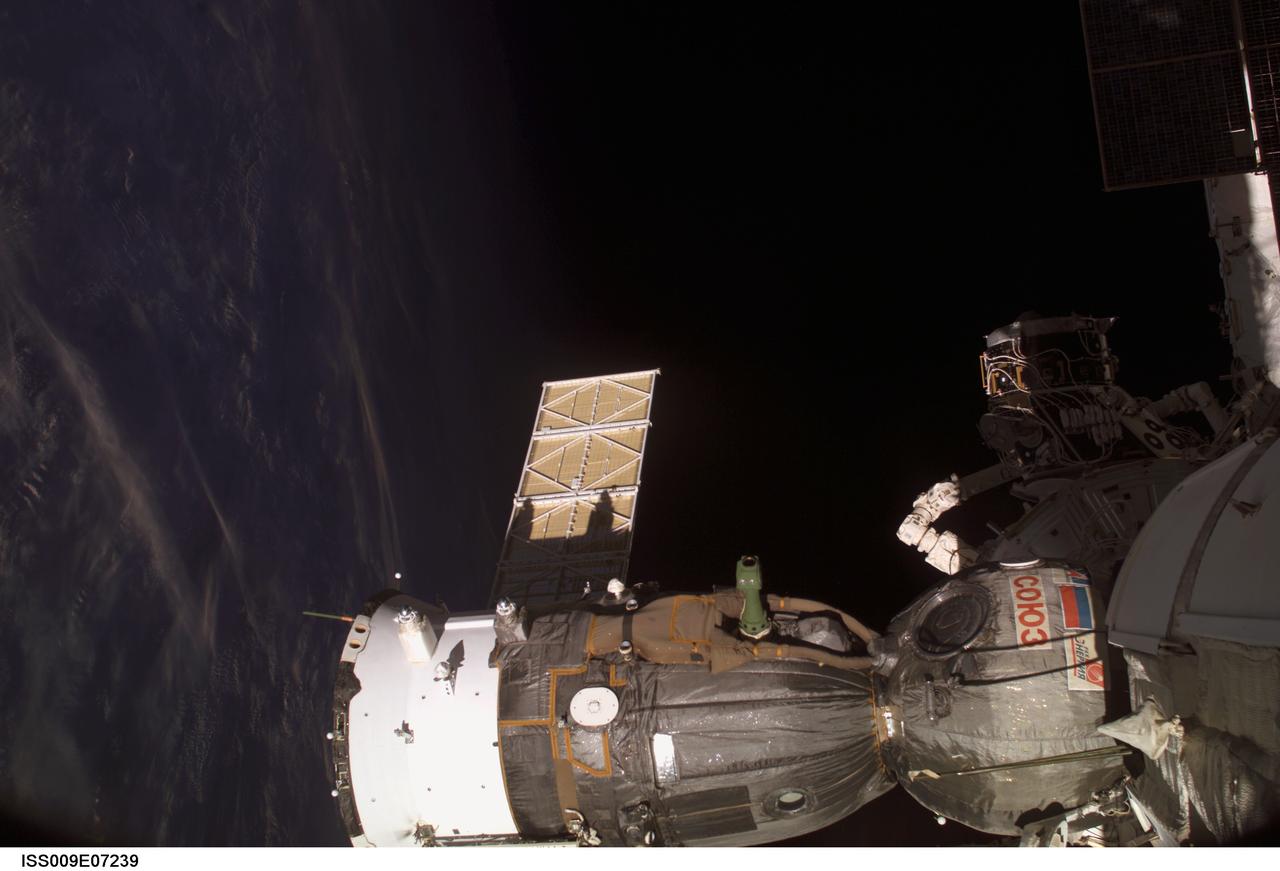 ISS009-E-07239 (14 May 2004) --- The blackness of space and Earth’s horizon provide the backdrop for this scene of the Soyuz TMA-4 spacecraft, docked to the Zarya functional cargo block (FGB) nadir port on the International Space Station (ISS). The scene was photographed by an Expedition 9 crewmember.