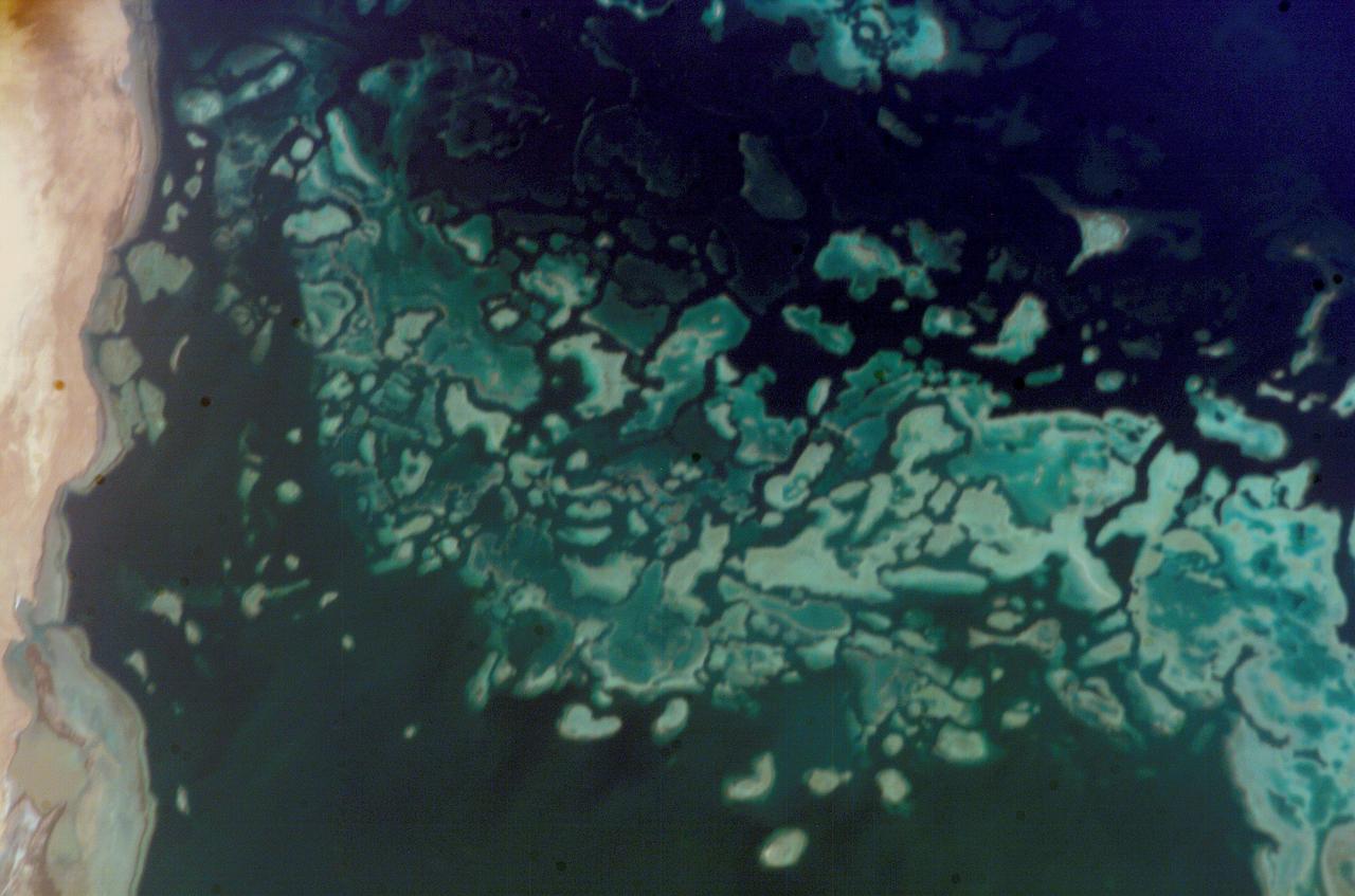 ISS009-E-23808 (20 September 2004) --- A fringing coral reef in the Red Sea is featured in this image photographed by an Expedition 9 crewmember on the International Space Station (ISS). The Sudanese coast of the Red Sea is a well known destination for divers due to clear water and abundance of coral reefs (or “shia’ab” in Arabic). According to NASA scientists studying the ISS imagery, reefs are formed primarily from precipitation of calcium carbonate by corals; massive reef structures are built over thousands of years of succeeding generations of coral. In the Red Sea, fringing reefs form on shallow shelves of less than 50 meters depth along the coastline. This photograph illustrates the intricate morphology of the reef system located along the coast between Port Sudan to the northwest and the Tokar River delta to the southeast. Close to shore, fringing reefs border the coastline. Farther offshore grows a larger, more complicated barrier reef structure. Different parts of the reef structure show up as variable shades of light blue. Deeper water channels (darker blue) define the boundaries for individual reefs within the greater barrier reef system. Such a complex pattern of reefs may translate into greater ecosystem diversity through a wide variety of local reef environments.