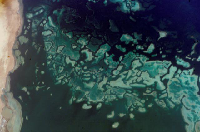 NASA image: iss009e23808