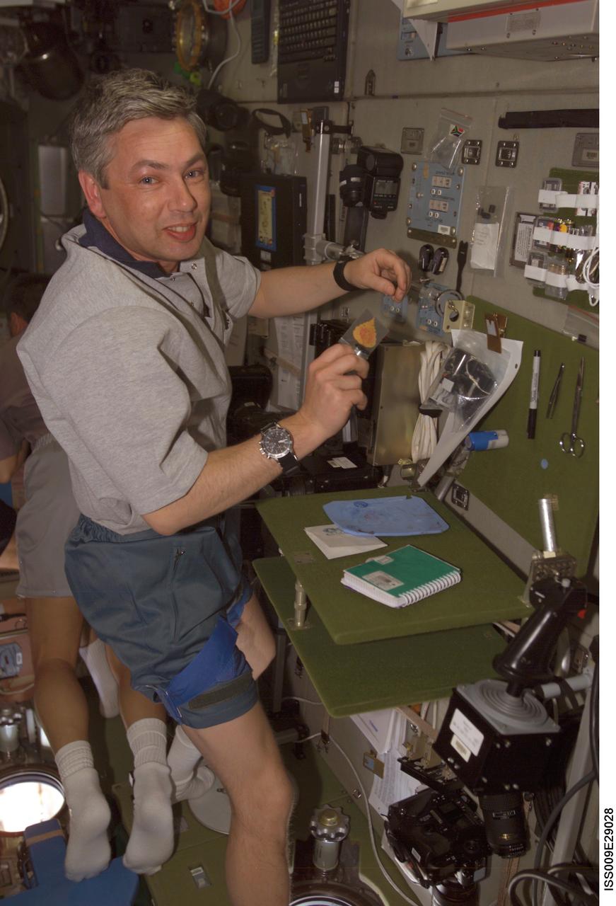 Shagrin works with an experiment in the SM during Expedition 9/10 joint operations