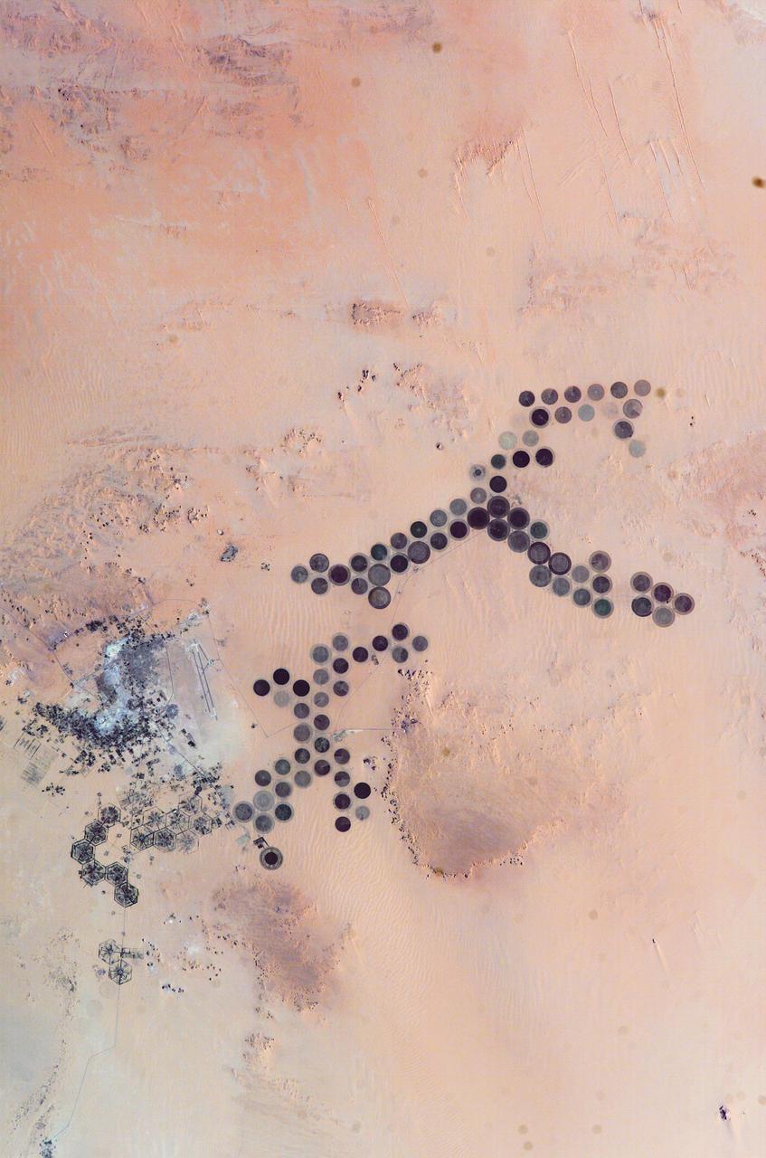 ISS010-E-05266 (28 October 2004) --- The Al Khufrah Oasis is featured in this image photographed by an Expedition 10 crewmember on the International Space Station (ISS). Green circles in the desert frequently indicate tracts of agriculture supported by center-pivot irrigation. The Al Khufrah Oasis in southeastern Libya (near the Egyptian border) is one of Libya&#0146;s largest agricultural projects, and is an easy-to-recognize landmark for orbiting crewmembers aboard the Station. The center-pivot irrigation system pumps water under pressure into a gantry or tubular arm from a central source. Anchored by a central pivot, the gantry slowly rotates over the area to be irrigated, thereby producing the circular patterns. Although the field diameters vary, these fields are approximately 0.6 mile (1 kilometer) in diameter. Darker colors indicate fields where such crops as wheat and alfalfa are grown. Lighter colors can indicate a variety of agricultural processes: fields that have been harvested recently; fields that are lying fallow; fields that have just been planted; or fields that have been taken out of production.
