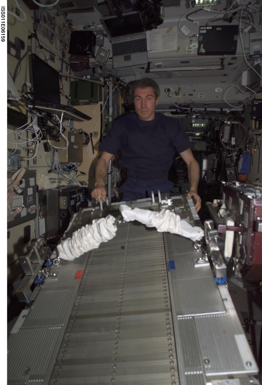 ISS011-E-06159 (16 May 2005) --- Cosmonaut Sergei K. Krikalev, Expedition 11 commander representing Russia's Federal Space Agency, works with the Treadmill Belt Assembly and exercise harness on the Treadmill Vibration Isolation System (TVIS) Chassis Assembly during an In-Flight Maintenance (IFM) in the Zvezda Service Module of the International Space Station (ISS).