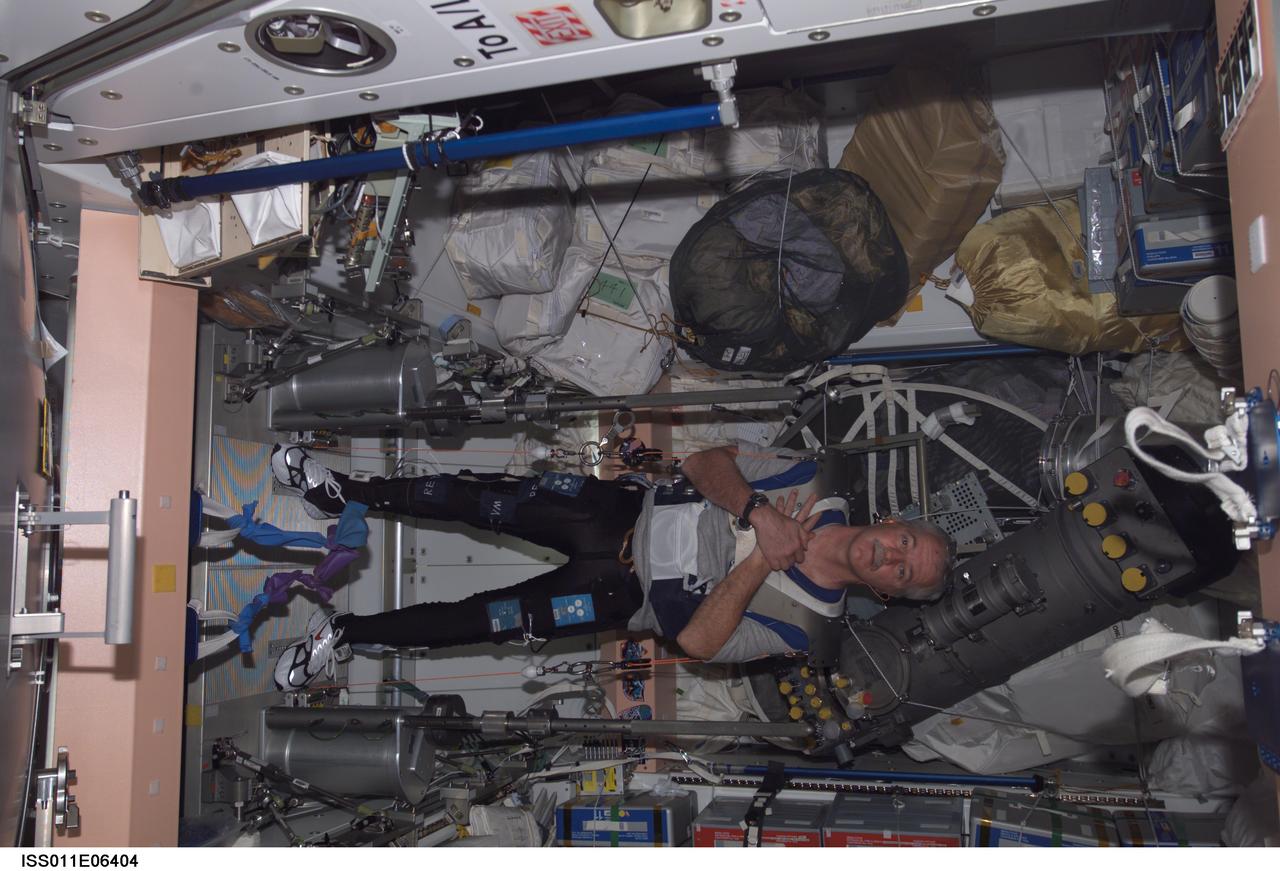 ISS011-E-06404 (18 May 2005) --- Astronaut John L. Phillips, Expedition 11 NASA space station science officer and flight engineer, wearing squat harness pads, exercises using the Interim Resistive Exercise Device (IRED) equipment in the Unity node of the International Space Station.