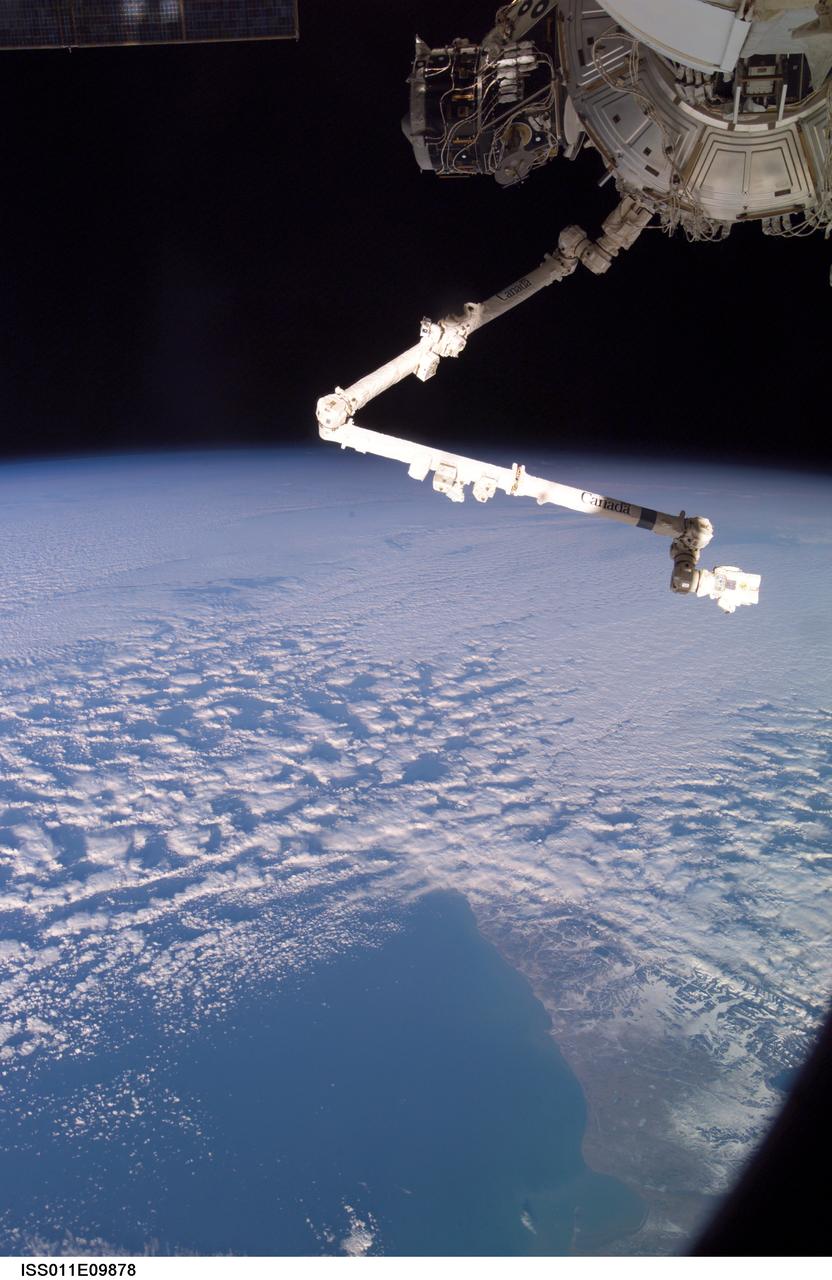 ISS011-E-09878 (30 June 2005) --- The Expedition 11 crew aboard the International Space Station flexes the robotic arm, Canadarm2, while flying approximately 225 miles above Cape Horn. Onboard are crewmembers, cosmonaut Sergei Krikalev of Russia's Federal Space Agency, commander, and astronaut John L. Phillips, NASA Space Station science officer and flight engineer.