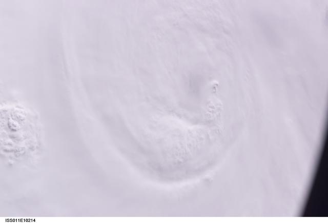 NASA image: Earth Obsersation taken by the Expedition 11 crew