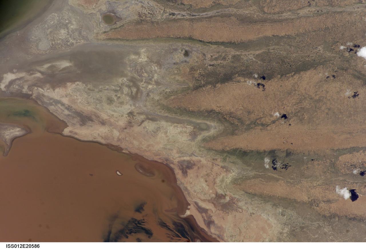 ISS012-E-20586 (9 March 2006) --- A portion of Lake Poopo is featured in this image photographed by an Expedition 12 crewmember on the International Space Station. Lake Poopo sits high in the Bolivian Andes, catching runoff from its larger neighbor to the north - Lake Titicaca (not shown) - by way of the Desaguadero River (muddy area at the north end of the lake). Because Lake Poopo is very high in elevation (roughly 3400 meters or 11,000 feet above sea level), very shallow (generally less than 3 meters or 9 feet), and the regional climate is very dry, small changes in precipitation in the surrounding basin have large impacts on the water levels and areal extent of Lake Poopo. When the lake fills during wet periods, Poopo drains from the south end into Salar de Coipasa (not shown). Water levels in Poopo are important because it is one of South America’s largest saline lakes, and a prime stop for migratory birds, including flamingoes. Last November, water levels had dropped, exposing large tracts of salt and mud flats. A wet and cool period between December and the end of February resulted in flooding of Poopo with muddy waters from the Desaguadero River. NASA managers have tasked the station crew to track such changes, which are related to regional weather patterns. Lake Poopo’s sensitivity to precipitation in the high Andes (possibly reflecting larger climate cycles) provides an excellent visual indicator of these trends.