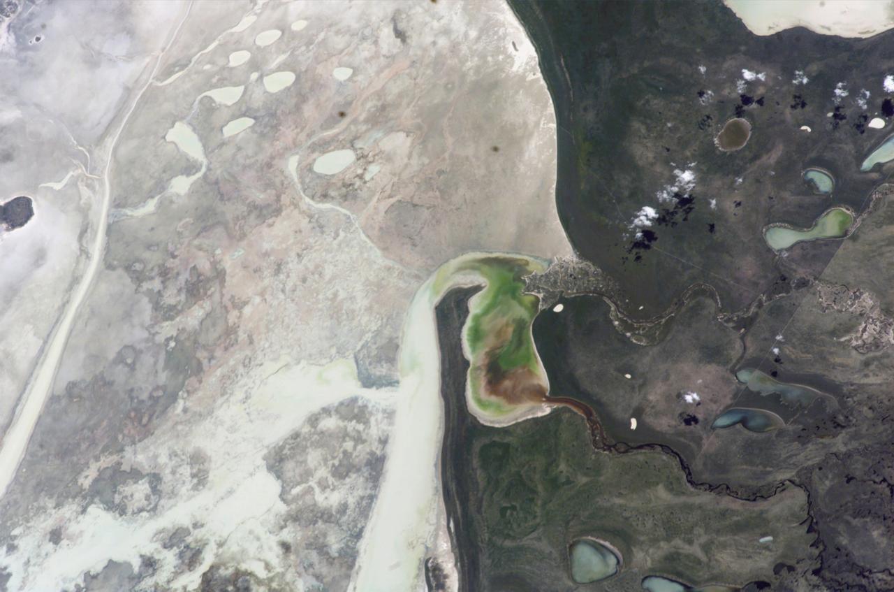 ISS012-E-23057 (2 March 2006) --- Ekuma River and Etosha Pan, Namibia are featured in this close-up image photographed by an Expedition 12 crewmember on the International Space Station. Etosha Pan, northern Namibia, is a large (120 kilometers or 75 mile long) dry lakebed in the Kalahari Desert. The lake and surrounds are protected today as one of Namibia&#0146;s largest wildlife parks. Herds of elephant occupy the dense mopane woodland on the south side of the lake. Mopane trees are common throughout south-central Africa, and host the mopane worm (the larval form of the Mopane Emperor Moth)&#0150;an important source of protein for rural communities. According to scientists, about 16,000 years ago, when ice sheets were melting across Northern Hemisphere land masses, a wet climate phase in southern Africa filled Etosha Lake. Today, Etosha Pan is seldom seen with even a thin sheet of water covering the salt pan.  This view shows the point where the Ekuma River flows into the salt lake. The Ekuma River is almost never seen with water, but in early 2006 rainfall twice the average amount in the river&#0146;s catchment generated flow. Greens and browns show vegetation and algae growing in different depths of water where the river enters the dry lake. Typically, little river water or sediment reaches the dry lake because water seeps into the riverbed along its 250 kilometers (155 miles) course, reducing discharge along the way. In this image, there was enough surface flow to reach the Pan, but too little water reached the mouth of the river to flow beyond the inlet bay. The unusual levels of precipitation also filled several small, usually dry lakes to the north of Etosha Pan.