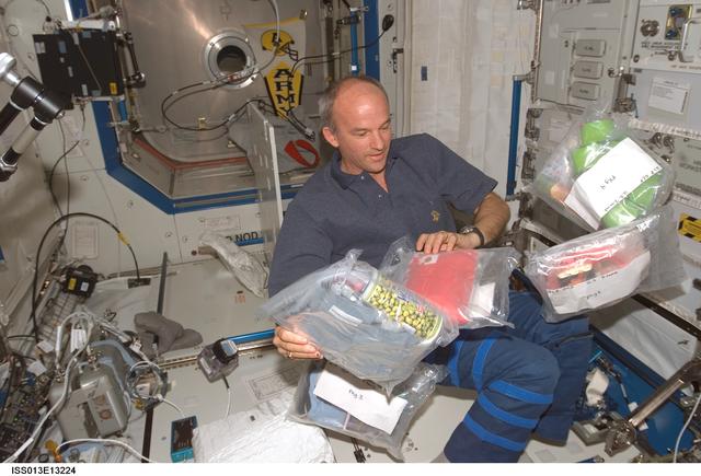 NASA image: Williams watches plastic bags float in the U.S. Laboratory during Expedition 13