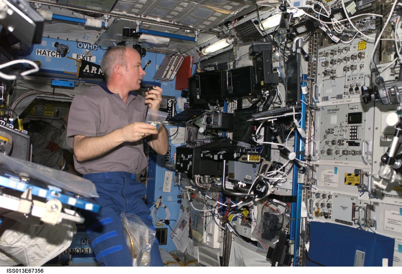 Williams working in the U.S. Laboratory during Expedition 13