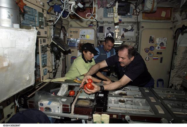 NASA image: Vinogradov, Ansari, and Tyurin prepare for a meal in the SM