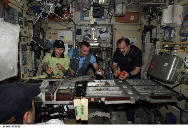 NASA image: Vinogradov, Ansari, and Tyurin prepare for a meal in the SM