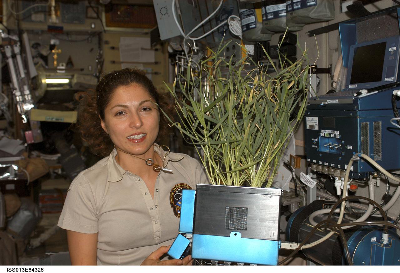 ISS013-E-84326 (20-28 Sept. 2006) --- Spaceflight participant Anousheh Ansari holds a plant grown in the Zvezda Service Module of the International Space Station.
