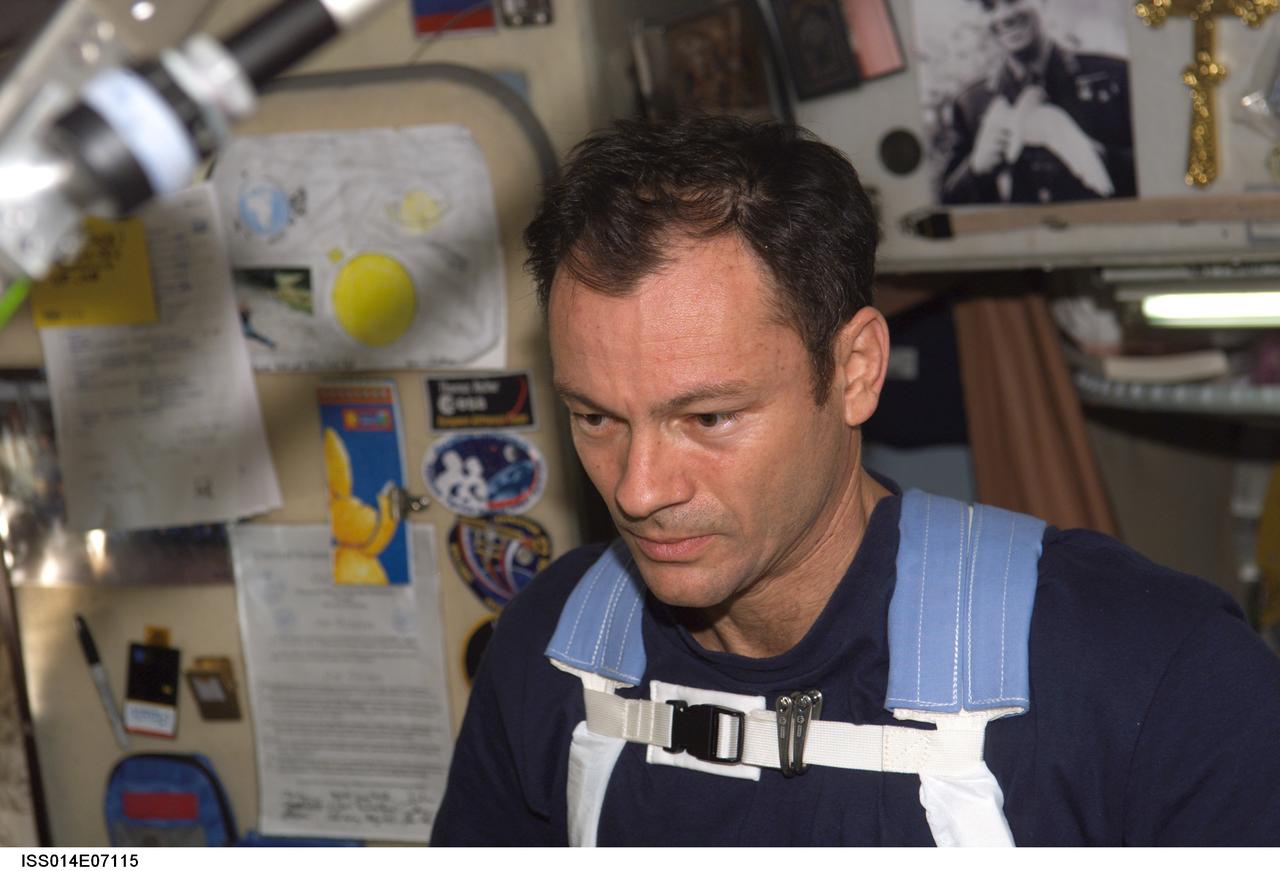 ISS014-E-07115 (2 Nov. 2006) --- Astronaut Michael E. Lopez-Alegria, Expedition 14 commander and NASA space station science officer, equipped with a bungee harness, exercises on the Treadmill Vibration Isolation System (TVIS) in the Zvezda Service Module of the International Space Station. In this close-up view, the TVIS is out of frame.