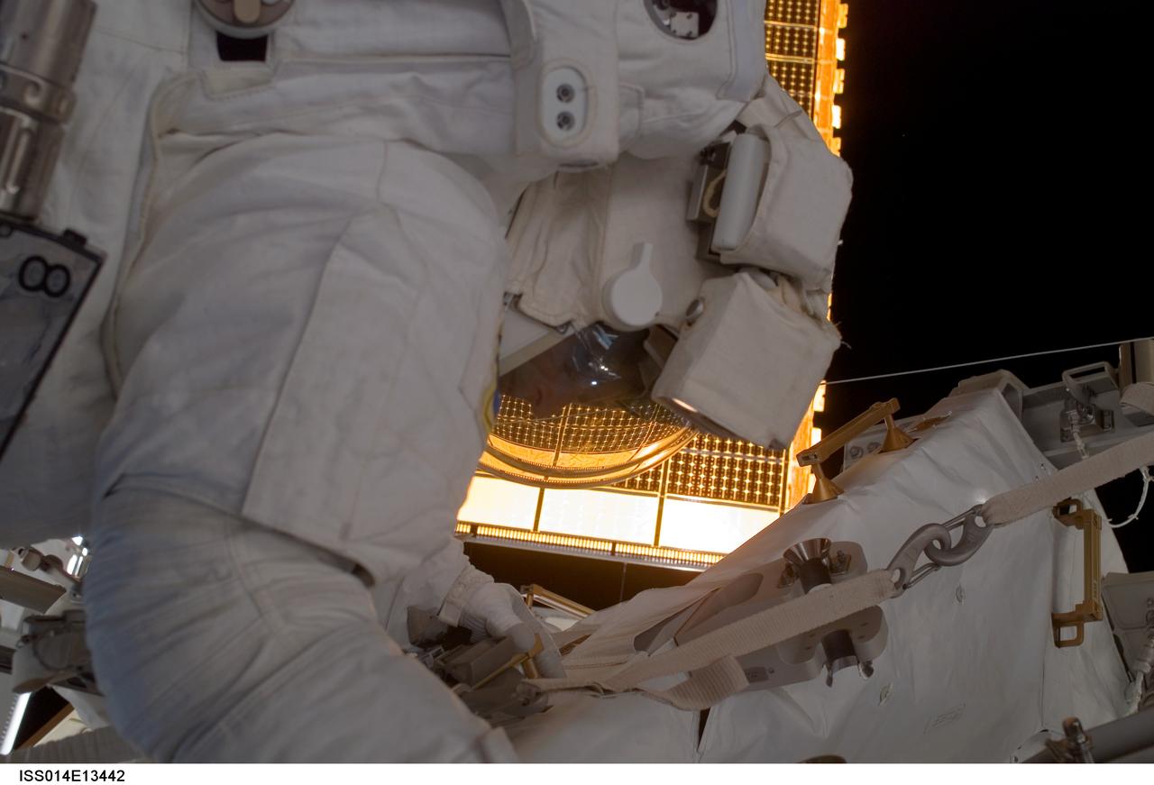 ISS014-E-13442 (8 Feb. 2007) --- Astronaut Sunita L. Williams, Expedition 14 flight engineer, participates in the final of three sessions of extravehicular activity (EVA) in nine days, as construction continues on the International Space Station. During the 6-hour, 40-minute spacewalk, Williams and Michael E. Lopez-Alegria (out of frame), commander, completed tasks that will allow for the attachment of a cargo platform during the STS-118 mission this summer and relocation of the P6 truss during STS-120 later this year.