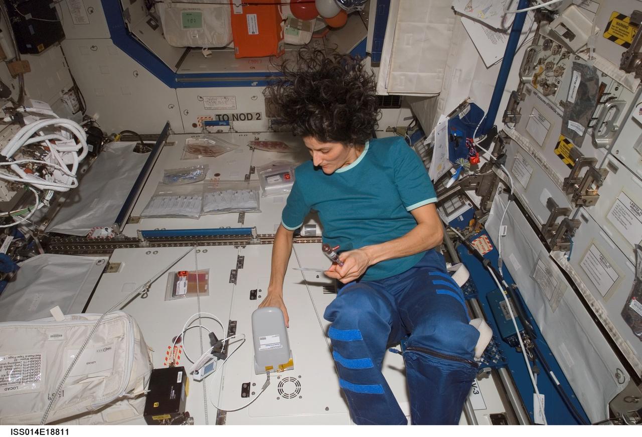 ISS014-E-18811 (31 March 2007) --- Astronaut Sunita L. Williams, Expedition 14 flight engineer, works with the Lab-on-a-Chip Application Development-Portable Test System (LOCAD-PTS) experiment in the Destiny laboratory of the International Space Station. LOCAD-PTS is a handheld device for rapid detection of biological and chemical substances onboard the station.