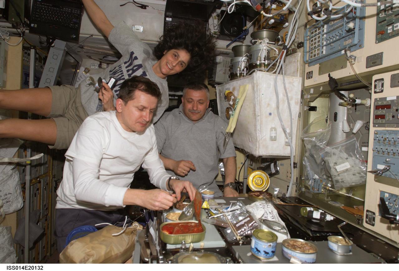 ISS014-E-20132 (April 2007) --- The crewmembers onboard the International Space Station share a meal at the galley in the Zvezda Service Module. Pictured (left to right) are U.S. spaceflight participant Charles Simonyi; astronaut Sunita L. Williams, Expedition 14/15 flight engineer; and cosmonaut Fyodor N. Yurchikhin, Expedition 15 commander representing Russia's Federal Space Agency.