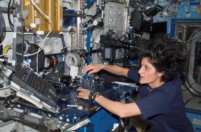 NASA image: Williams during Capillary Flow Experiment Hardware Setup in the US Lab