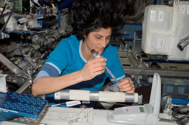 NASA image: Williams working on the LOCAD-PTS Experiment in the US Lab during Expedition 15