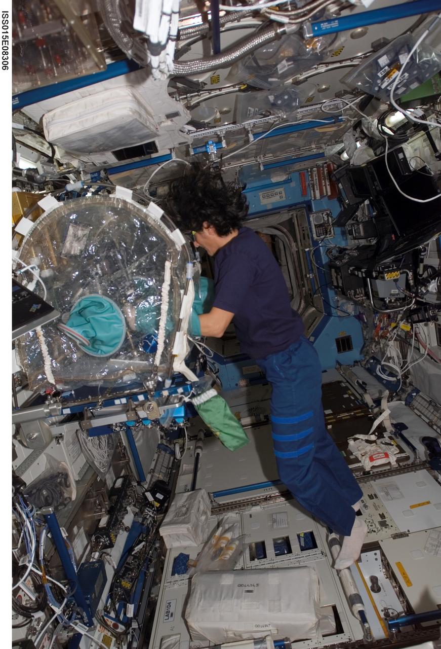 ISS015-E-08306 (6 May 2007) --- Astronaut Sunita L. Williams, Expedition 15 flight engineer, works at a portable glovebox facility in the Destiny laboratory of the International Space Station.