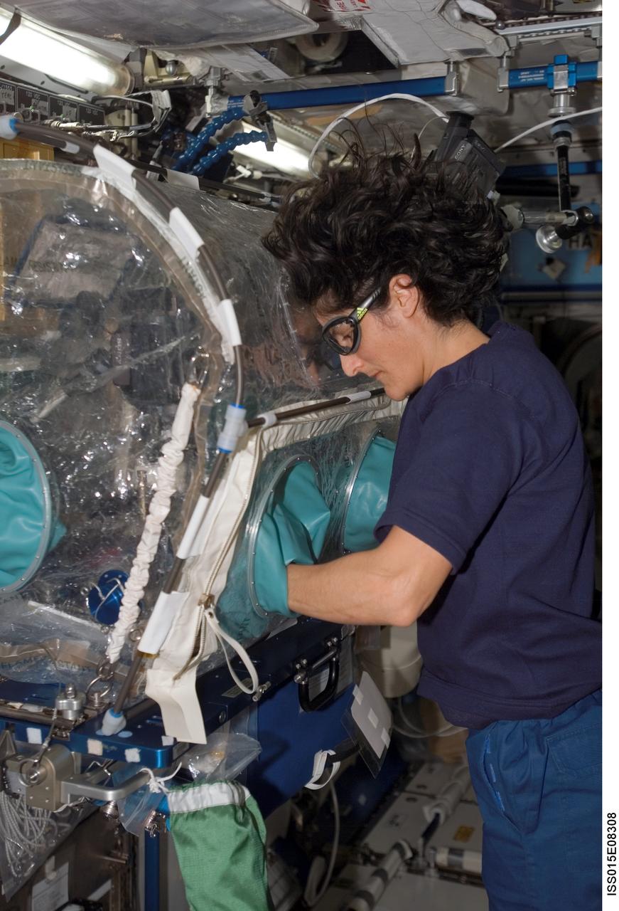 ISS015-E-08308 (6 May 2007) --- Astronaut Sunita L. Williams, Expedition 15 flight engineer, works at a portable glovebox facility in the Destiny laboratory of the International Space Station.