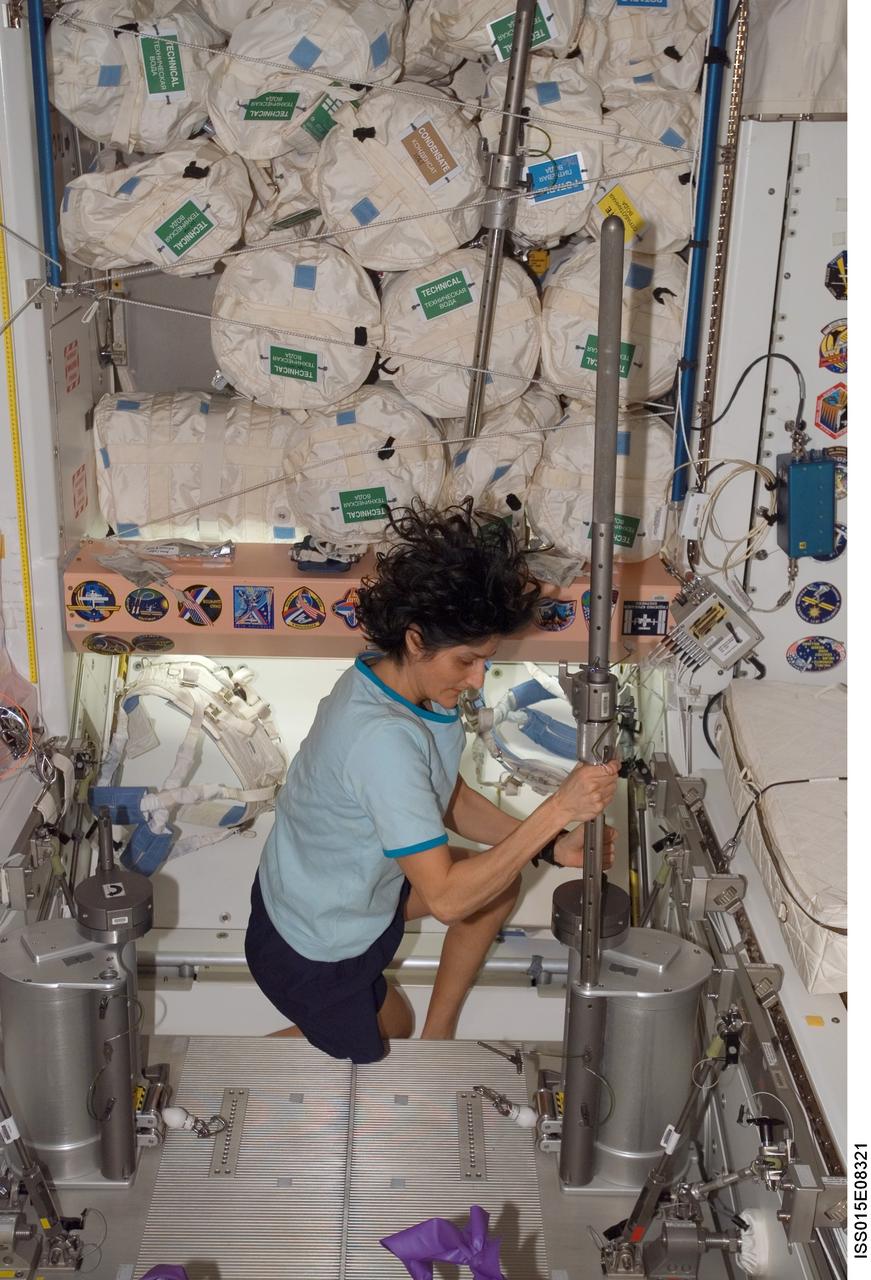 ISS015-E-08321 (6 May 2007) --- Astronaut Sunita L. Williams, Expedition 15 flight engineer, prepares to exercise using the Interim Resistive Exercise Device (IRED) in the Unity node of the International Space Station.