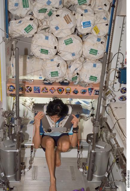 NASA image: Williams exercising on the SchRED during Expedition 15