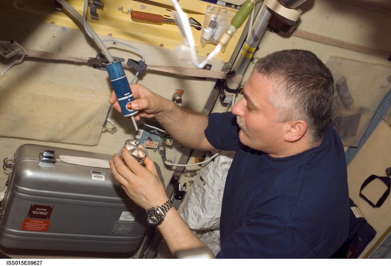 ISS015-E-09627 (27 May 2007) --- Cosmonaut Fyodor N. Yurchikhin, Expedition 15 commander representing Russia's Federal Space Agency, adds water to garlic inside a gauze-filled metal container in the Zvezda Service Module of the International Space Station.