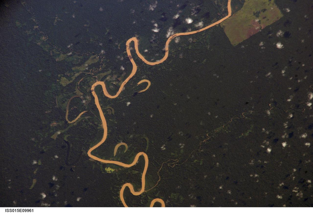 ISS015-E-09961 (29 May 2007) --- Rio Jurua in Brazil is featured in this image photographed by an Expedition 15 crewmember on the International Space Station. The center point of this image is about 8 degrees, 33.8 minutes south latitude and 72 degrees, 49.7 minutes west longitude. North is to the bottom of the image.