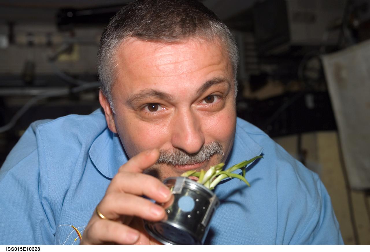 ISS015-E-10628 (3 June 2007) --- Cosmonaut Fyodor N. Yurchikhin, Expedition 15 commander representing Russia's Federal Space Agency, holds a garlic planter in the Zvezda Service Module of the International Space Station.