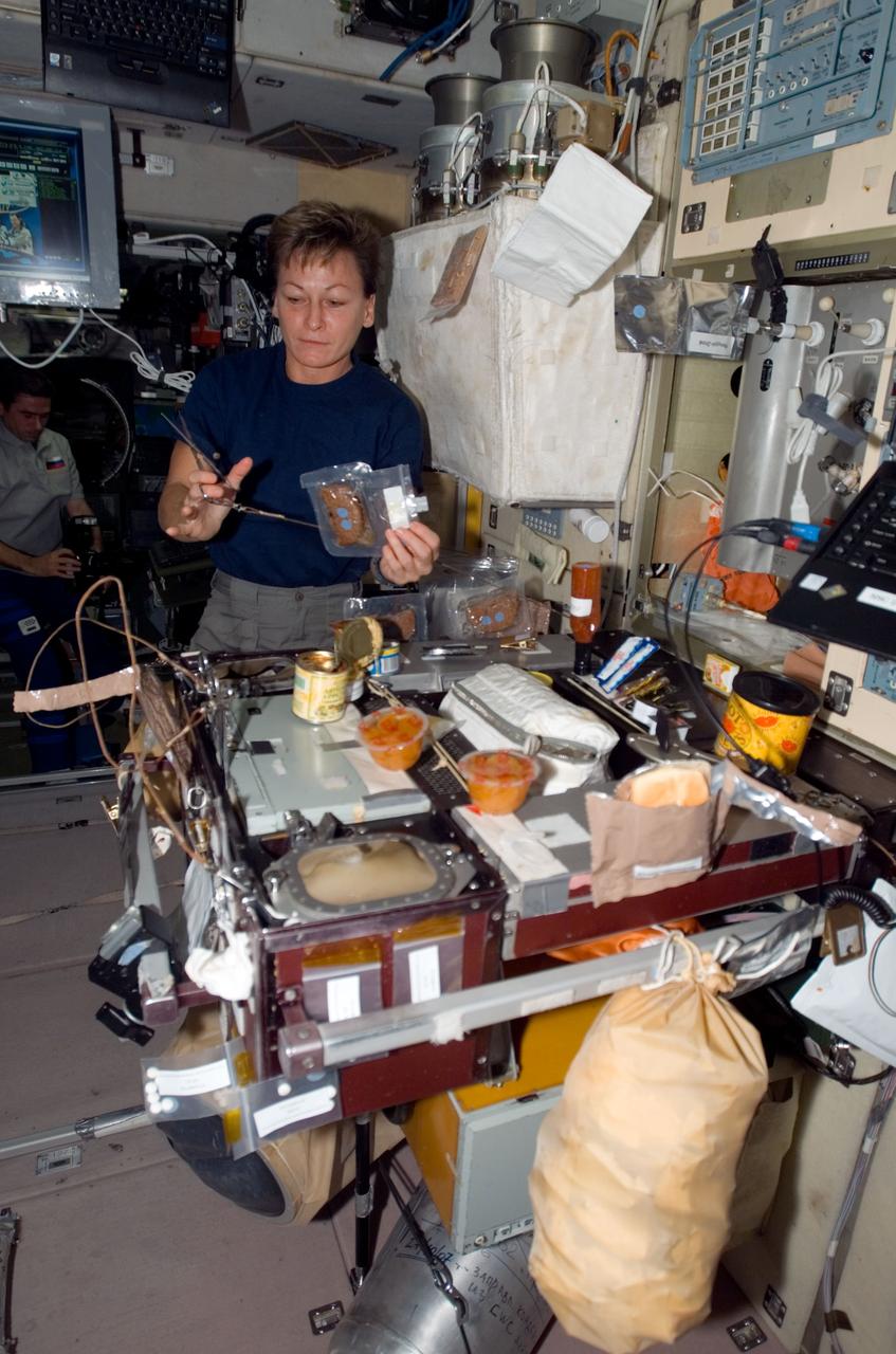 ISS016-E-011279 (15 Nov. 2007) --- Astronaut Peggy A. Whitson, Expedition 16 commander, prepares a meal at the galley in the Zvezda Service Module of the International Space Station. Cosmonaut Yuri I. Malenchenko, flight engineer representing Russia's Federal Space Agency, is visible in the background.
