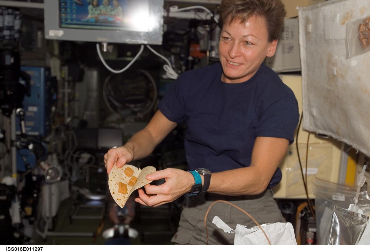 ISS016-E-011297 (15 Nov. 2007) --- Astronaut Peggy A. Whitson, Expedition 16 commander, prepares a meal at the galley in the Zvezda Service Module of the International Space Station.