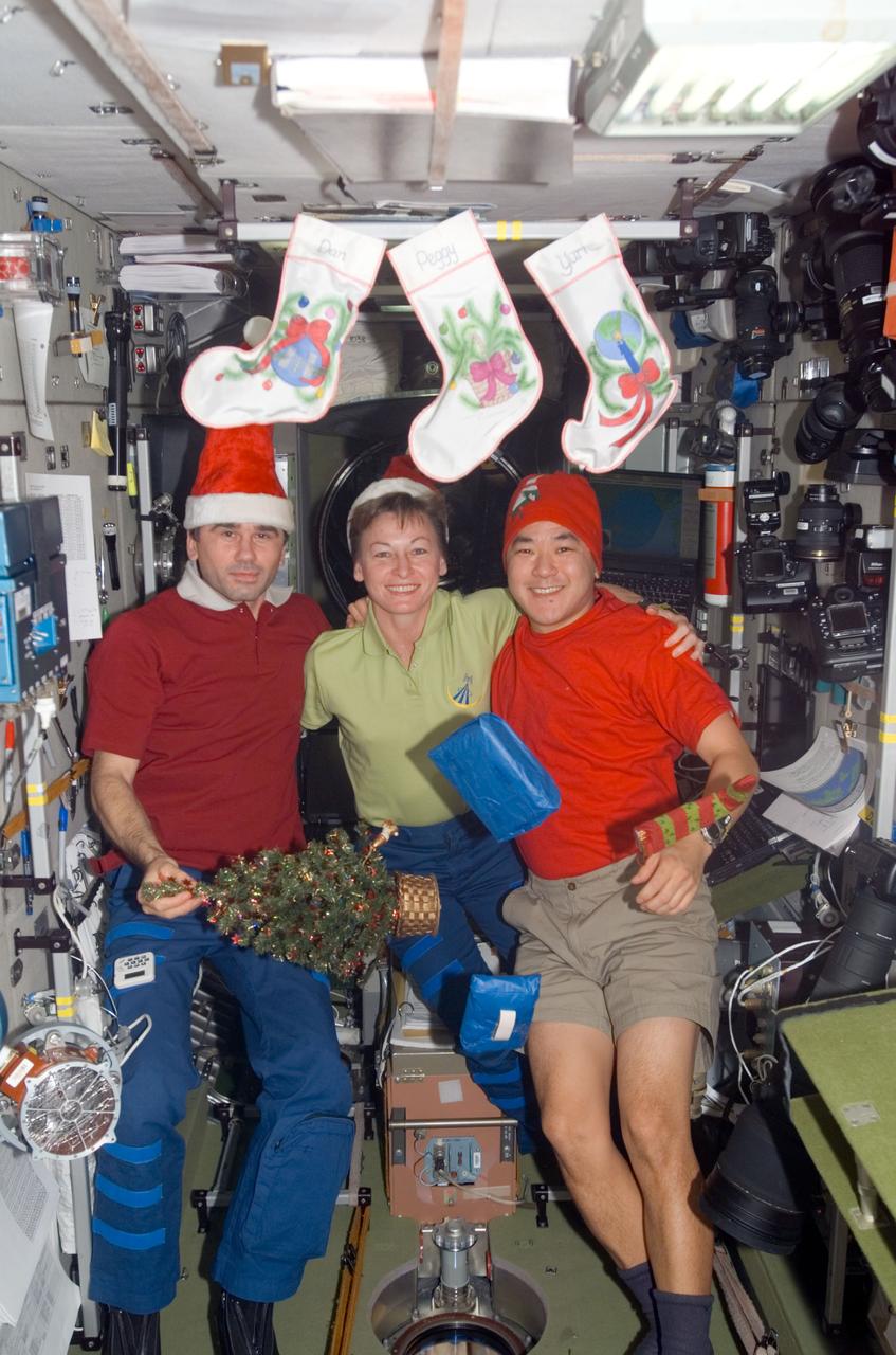 ISS016-E-018580 (25 Dec. 2007) --- The Expedition 16 crewmembers pose for a Christmas photo in the Zvezda Service Module of the International Space Station. From the left are cosmonaut Yuri I. Malenchenko, flight engineer representing Russia's Federal Space Agency; NASA astronauts Peggy A. Whitson, commander; and Daniel Tani, flight engineer.