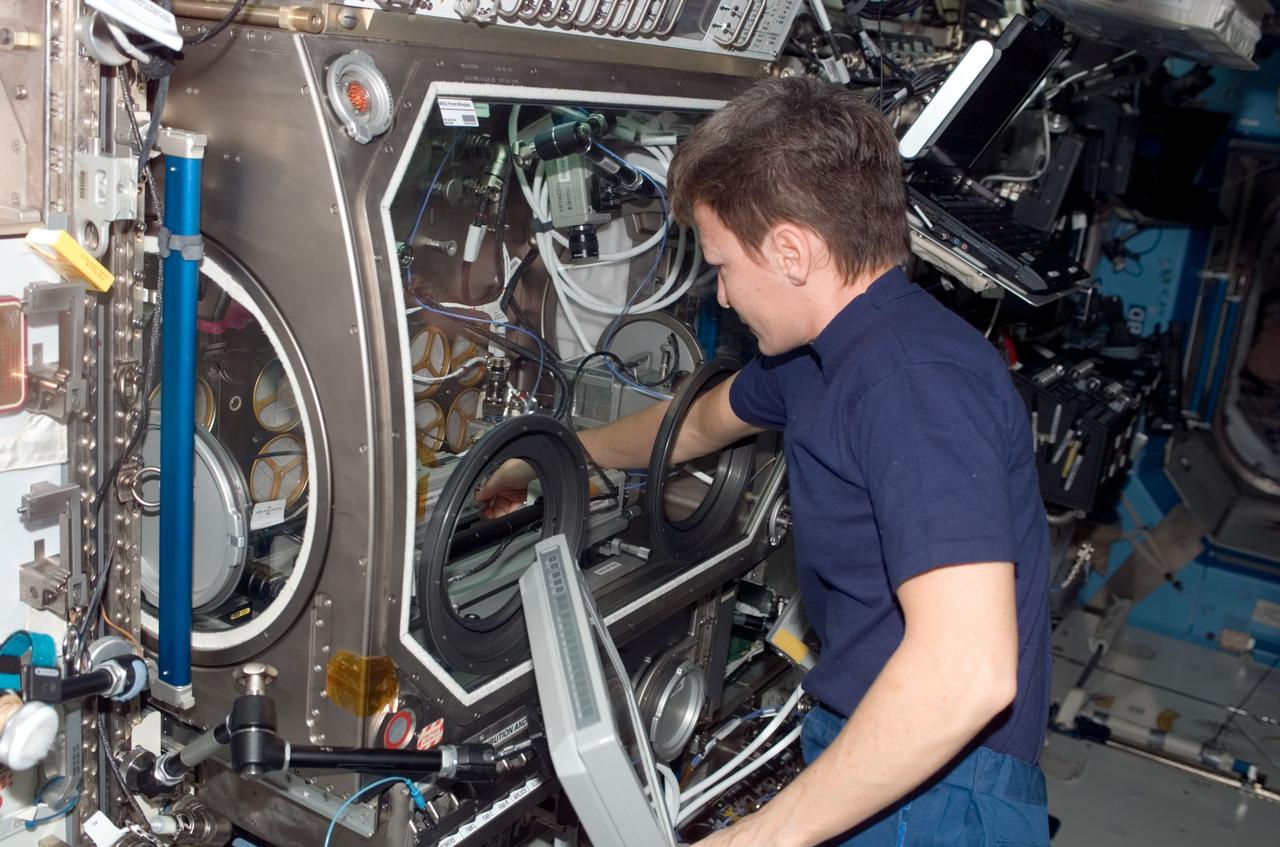 ISS016-E-021059 (5 Jan. 2008) --- Astronaut Peggy A. Whitson, Expedition 16 commander, works at the Microgravity Science Glovebox (MSG) in the Destiny laboratory of the International Space Station.