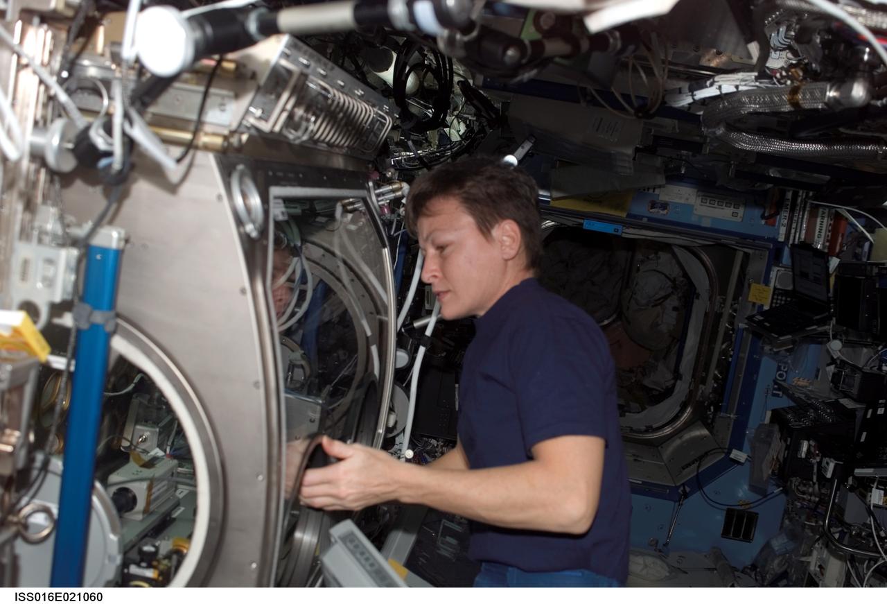 ISS016-E-021060 (5 Jan. 2008) --- Astronaut Peggy A. Whitson, Expedition 16 commander, works at the Microgravity Science Glovebox (MSG) in the Destiny laboratory of the International Space Station.