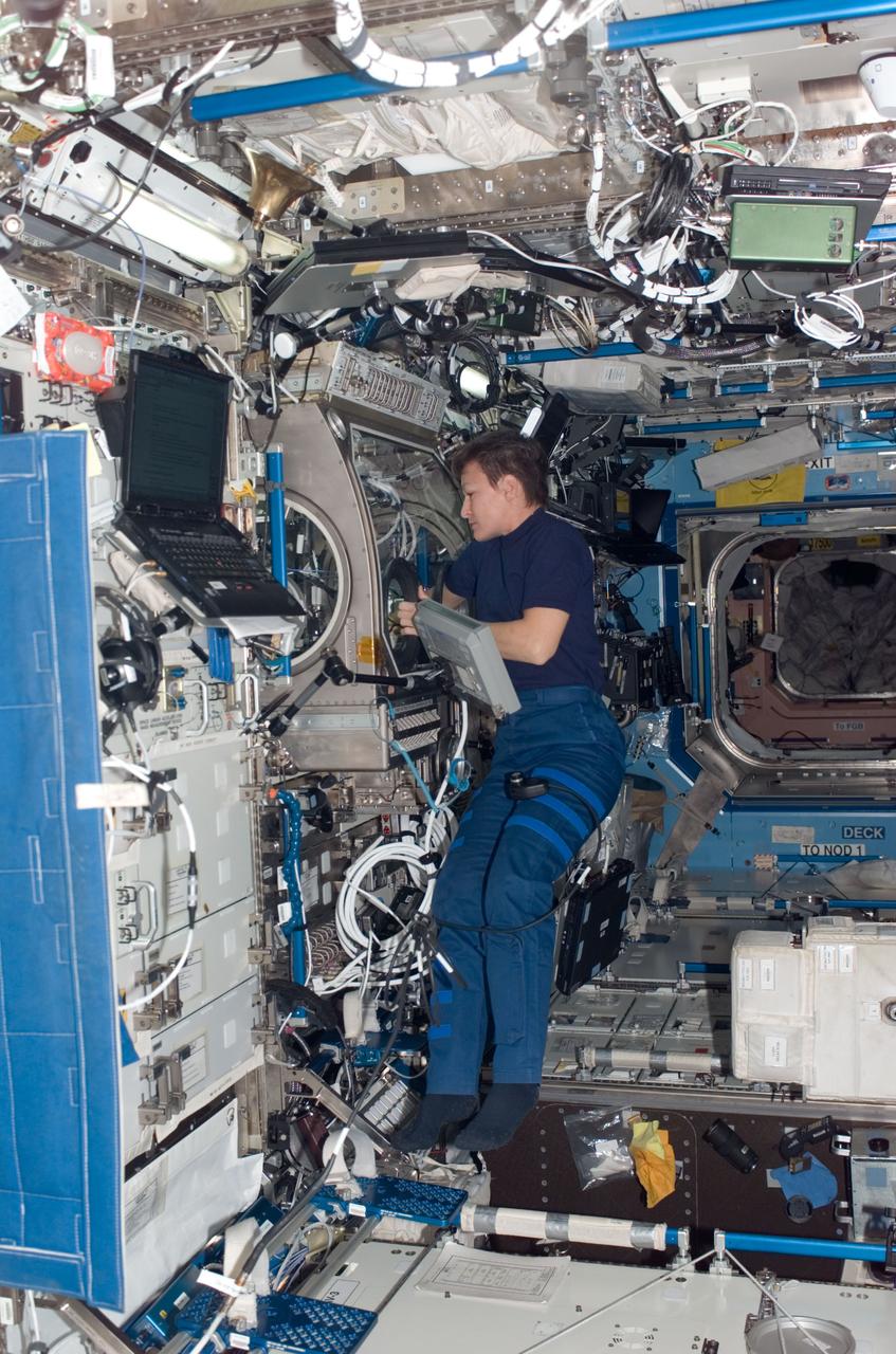 ISS016-E-021064 (5 Jan. 2008) --- Astronaut Peggy A. Whitson, Expedition 16 commander, works at the Microgravity Science Glovebox (MSG) in the Destiny laboratory of the International Space Station.