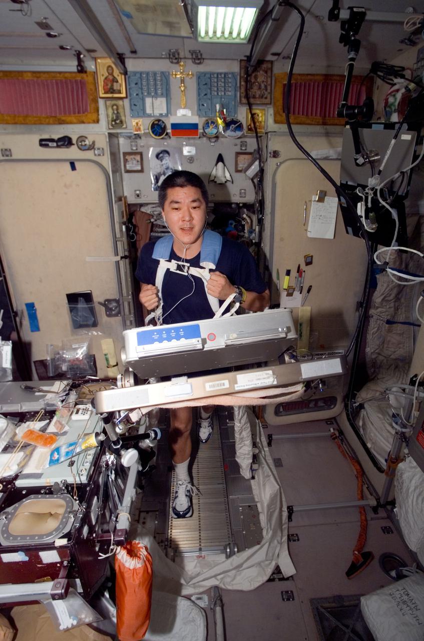 ISS016-E-024679 (22 Jan. 2008) --- Astronaut Daniel Tani, Expedition 16 flight engineer, works out on the Treadmill Vibration Isolation System (TVIS) onboard the International Space Station.