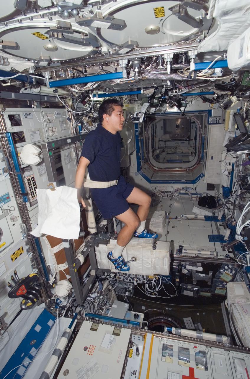 ISS016-E-027899 (6 Feb. 2008) --- Astronauts Daniel Tani, Expedition 16 flight engineer, exercises on the Cycle Ergometer with Vibration Isolation System (CEVIS) in the Destiny laboratory of the International Space Station.
