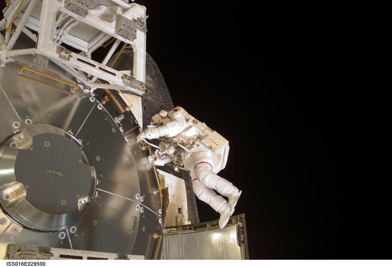 ISS016-E-029500 (15 Feb. 2008) --- Astronaut Rex Walheim, mission specialist, holds onto a handrail on the Columbus laboratory, the newest piece of hardware on the International Space Station. Astronaut Stanley Love (out of frame), mission specialist, shared this extravehicular activity with Walheim.